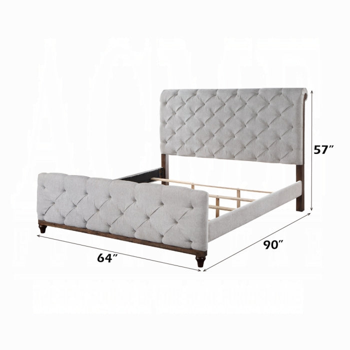 ACME Andria Queen Bed