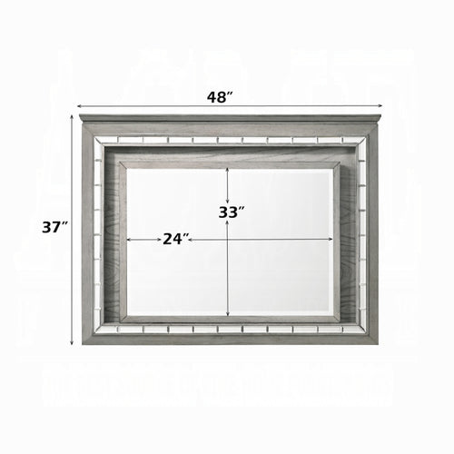 ACME Antares Mirror W/Led