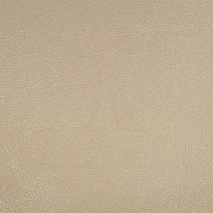 ACME Champagne & Gold Danae Side Chair (Set-2)