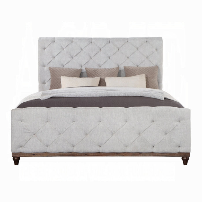 ACME Andria Queen Bed