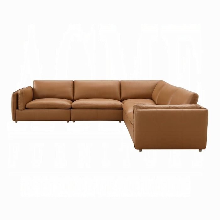 ACME Brighton Modular - Wedge