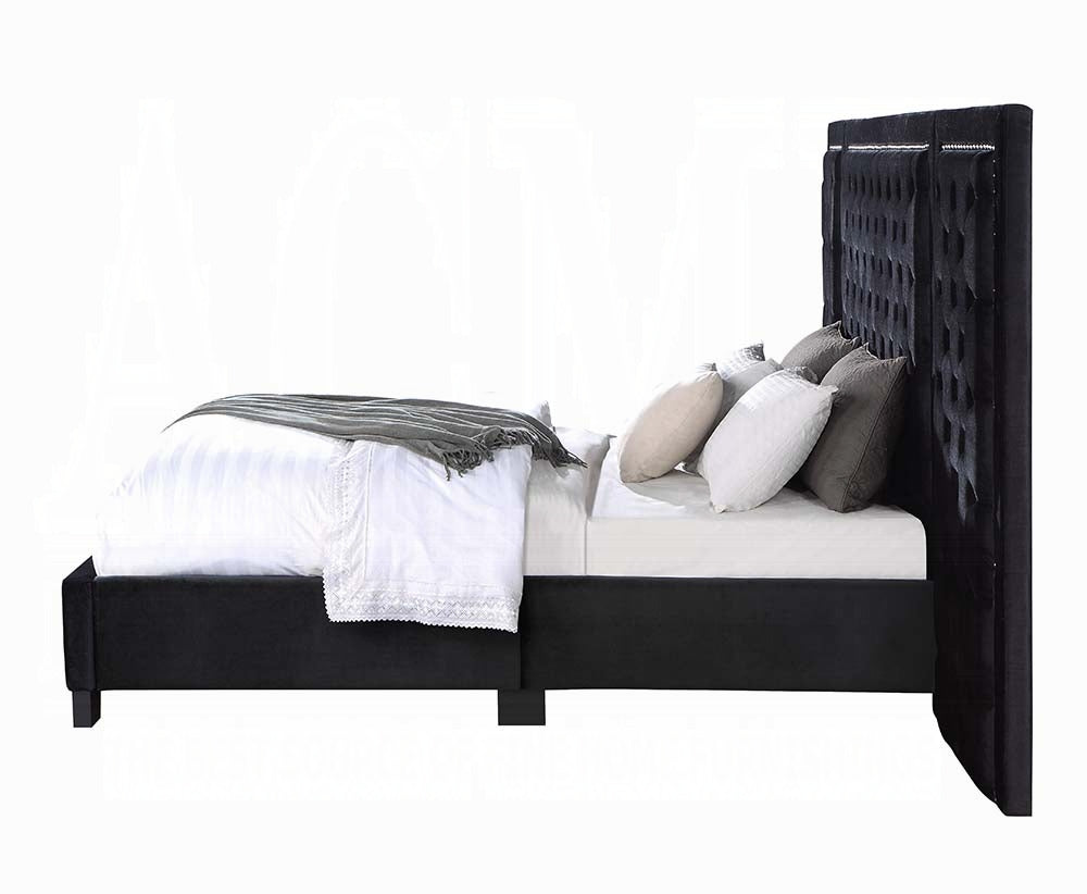 ACME Black Damazy Queen Bed