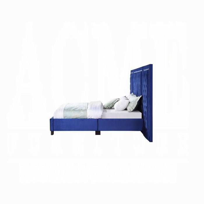 ACME Blue Damazy EK Bed
