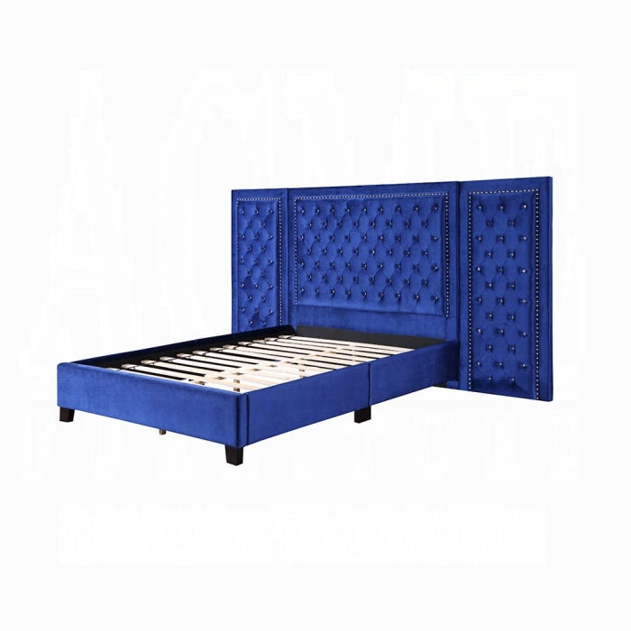 ACME Blue Damazy Queen Bed