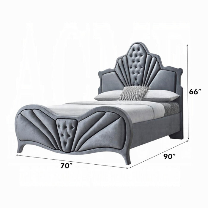 ACME Gray Dante Queen Bed
