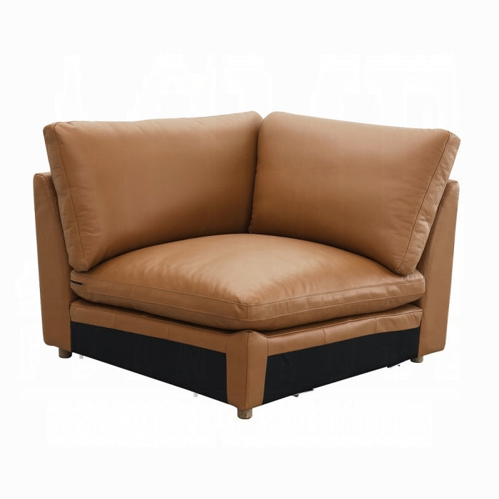 ACME Brighton Modular - Wedge