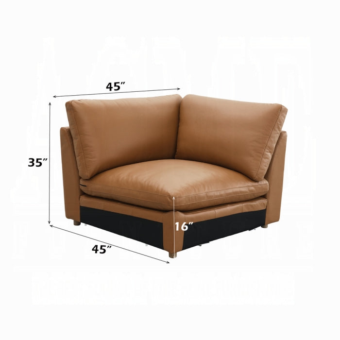 ACME Brighton Modular - Wedge