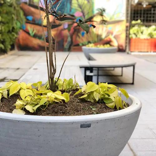 KONKRETUS Båls Planter M – Handcrafted Concrete Planter
